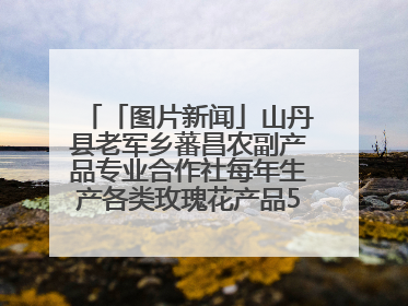 「图片新闻」山丹县老军乡蕃昌农副产品专业合作社每年生产各类玫瑰花产品500多吨