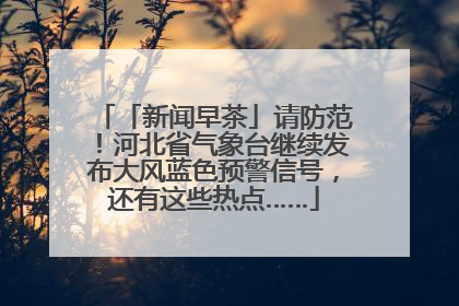 「新闻早茶」请防范！河北省气象台继续发布大风蓝色预警信号，还有这些热点……