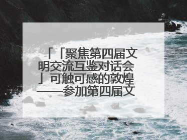 「聚焦第四届文明交流互鉴对话会」可触可感的敦煌——参加第四届文明交流互鉴对话会的外宾参观上元市集