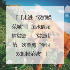 「走进“双拥模范城”」鱼水情深耀常德——常德市第三次荣膺“全国双拥模范城”
