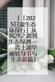 「2025甘肃生态环保行」从风沙之源到生态绿洲——青土湖华丽转身书写生态新篇