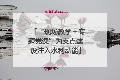 “现场教学＋专题党课”为支点建设注入水利动能