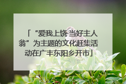 “爱我上饶·当好主人翁”为主题的文化赶集活动在广丰东阳乡开市