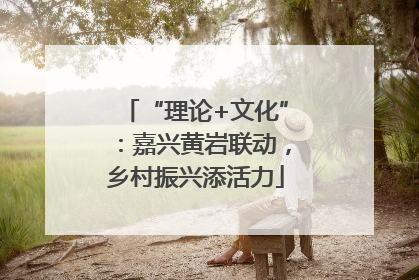 “理论+文化”：嘉兴黄岩联动，乡村振兴添活力