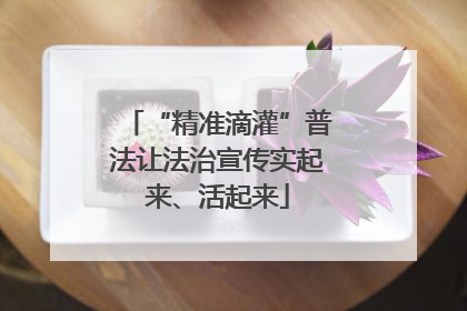 “精准滴灌”普法让法治宣传实起来、活起来