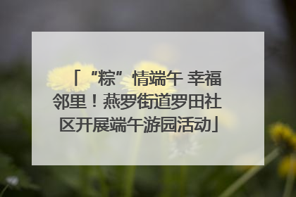 “粽”情端午 幸福邻里！燕罗街道罗田社区开展端午游园活动