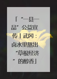 “一县一品”公益宣传丨武冈：卤水里熬出“草根经济”的醇香