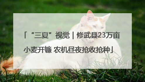 “三夏”视觉｜修武县23万亩小麦开镰 农机昼夜抢收抢种
