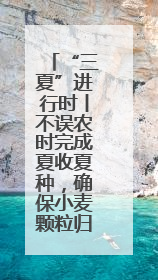 “三夏”进行时丨不误农时完成夏收夏种，确保小麦颗粒归仓
