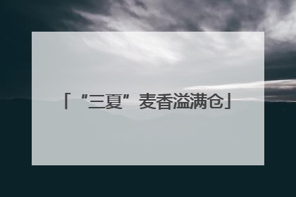 “三夏”麦香溢满仓