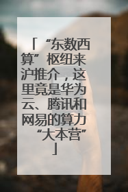 “东数西算”枢纽来沪推介，这里竟是华为云、腾讯和网易的算力“大本营”