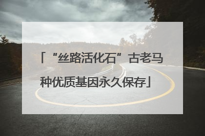 “丝路活化石”古老马种优质基因永久保存