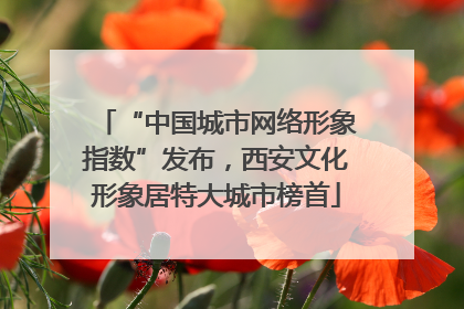 “中国城市网络形象指数”发布，西安文化形象居特大城市榜首