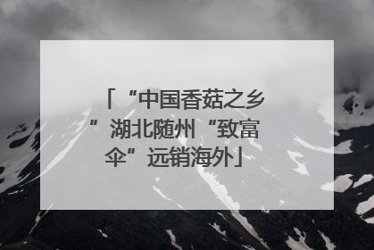 “中国香菇之乡”湖北随州“致富伞”远销海外