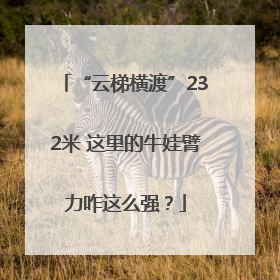 “云梯横渡”232米 这里的牛娃臂力咋这么强？