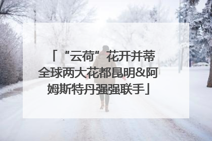 “云荷”花开并蒂 全球两大花都昆明&阿姆斯特丹强强联手
