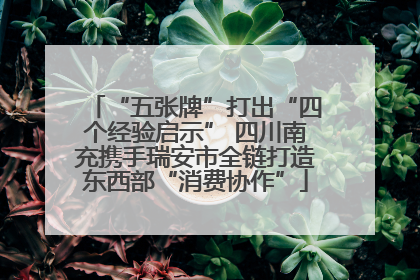 “五张牌”打出“四个经验启示” 四川南充携手瑞安市全链打造东西部“消费协作”