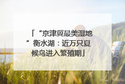 “京津冀最美湿地”衡水湖：近万只夏候鸟进入繁殖期