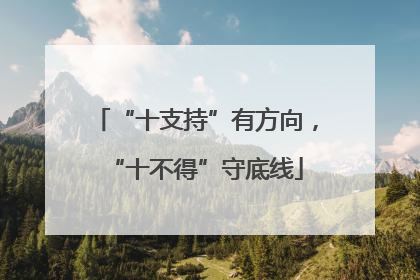 “十支持”有方向，“十不得”守底线
