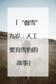 “傲雪”九岁：人工繁育雪豹的故事