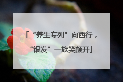 “养生专列”向西行，“银发”一族笑颜开