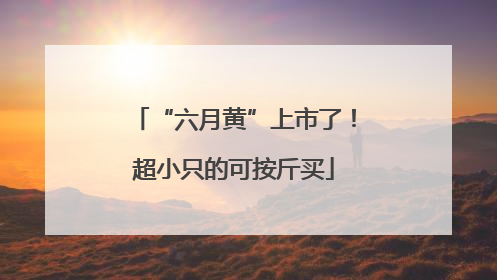 “六月黄”上市了！超小只的可按斤买