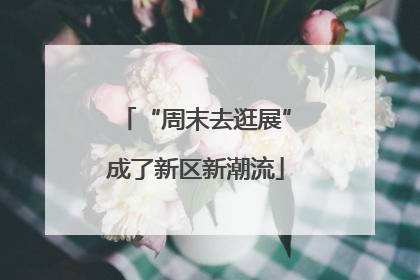 “周末去逛展”成了新区新潮流