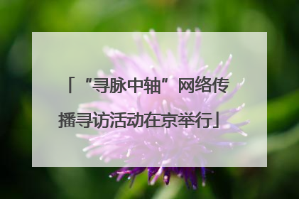 “寻脉中轴”网络传播寻访活动在京举行