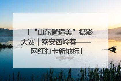 “山东邂逅美”摄影大赛｜泰安西岭巷——网红打卡新地标