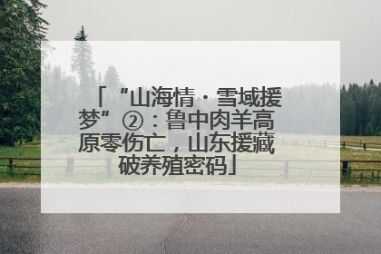 “山海情・雪域援梦”②：鲁中肉羊高原零伤亡，山东援藏破养殖密码