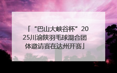“巴山大峡谷杯”2025川渝陕羽毛球混合团体邀请赛在达州开赛