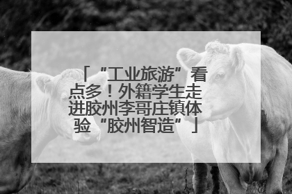 “工业旅游”看点多！外籍学生走进胶州李哥庄镇体验“胶州智造”