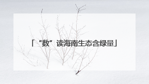 “数”读海南生态含绿量
