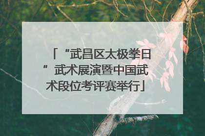 “武昌区太极拳日”武术展演暨中国武术段位考评赛举行