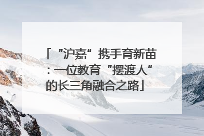 “沪嘉”携手育新苗：一位教育“摆渡人”的长三角融合之路