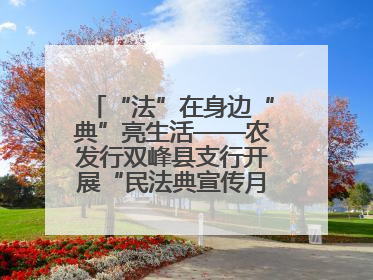 “法”在身边“典”亮生活——农发行双峰县支行开展“民法典宣传月”活动