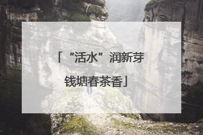 “活水”润新芽 钱塘春茶香