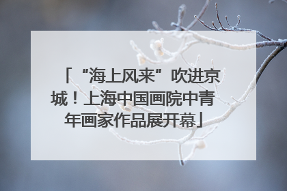 “海上风来”吹进京城！上海中国画院中青年画家作品展开幕