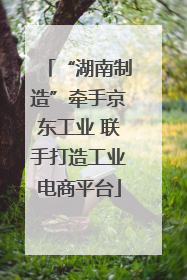 “湖南制造”牵手京东工业 联手打造工业电商平台