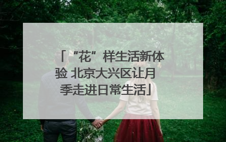 “花”样生活新体验 北京大兴区让月季走进日常生活