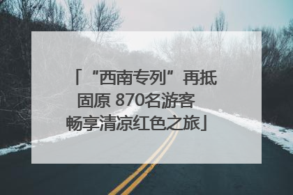 “西南专列”再抵固原 870名游客畅享清凉红色之旅