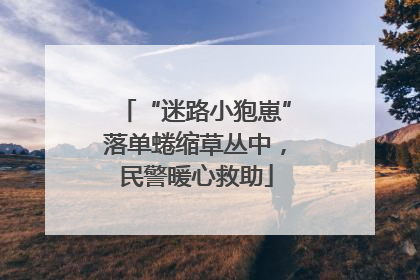 “迷路小狍崽”落单蜷缩草丛中，民警暖心救助