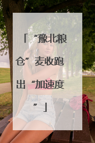 “豫北粮仓”麦收跑出“加速度”