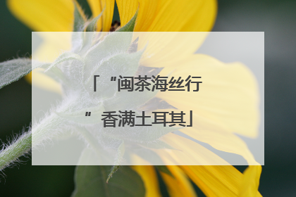 “闽茶海丝行”香满土耳其