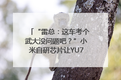 “雷总：这车考个武大没问题吧？”小米自研芯片让YU7会学习｜汽车科技