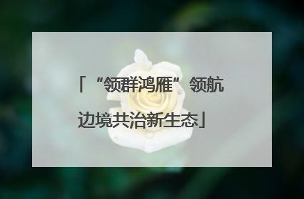 “领群鸿雁”领航边境共治新生态