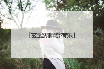 玄武湖畔赏荷乐