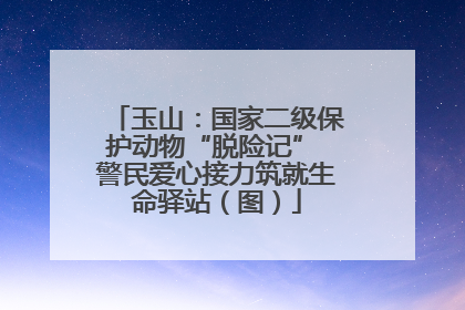玉山：国家二级保护动物“脱险记” 警民爱心接力筑就生命驿站（图）