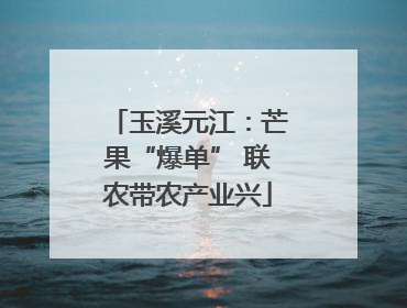 玉溪元江：芒果“爆单” 联农带农产业兴