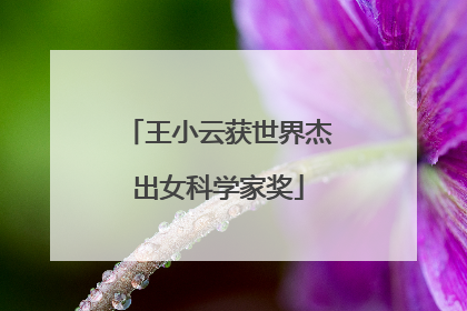 王小云获世界杰出女科学家奖